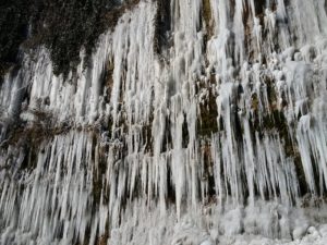 IMG_20210213_135219295