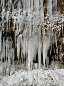 IMG_20210213_135456329