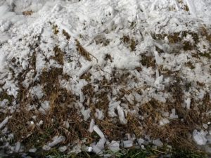 IMG_20210213_135505199