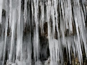 IMG_20210213_135534463
