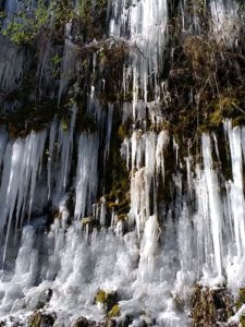 IMG_20210213_135549080