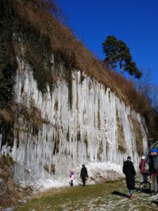 IMG_20210213_135628492