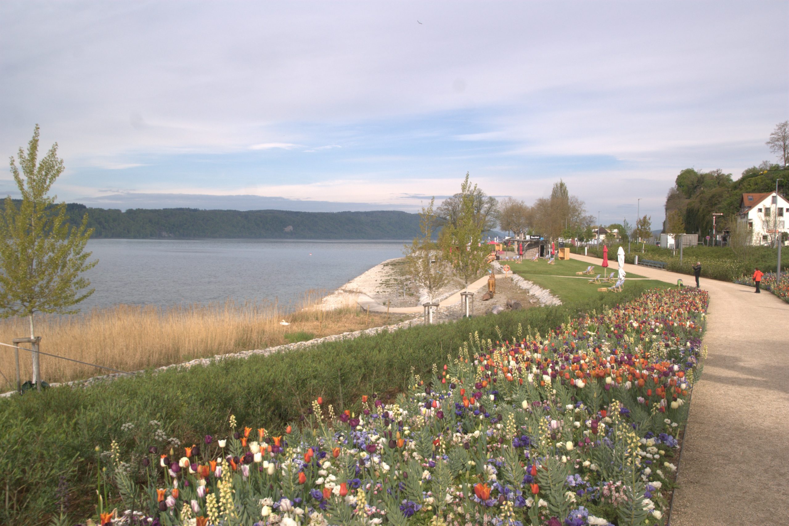 A_DSC08568
