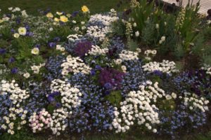 A_DSC08607