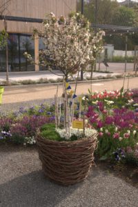 A_DSC08627