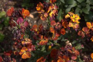 A_DSC08644