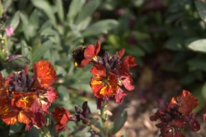 A_DSC08646