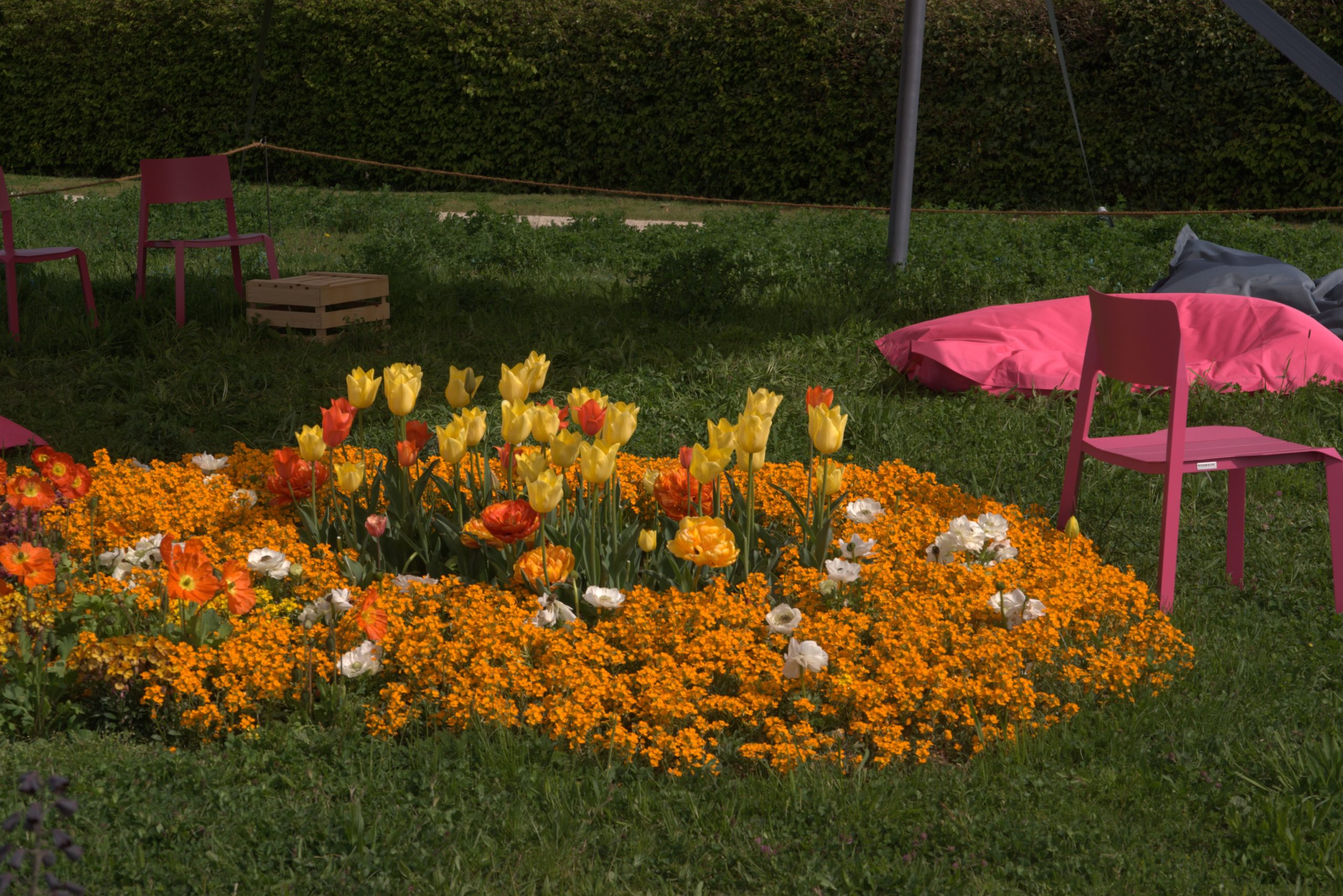 A_DSC08648