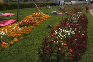 A_DSC08649