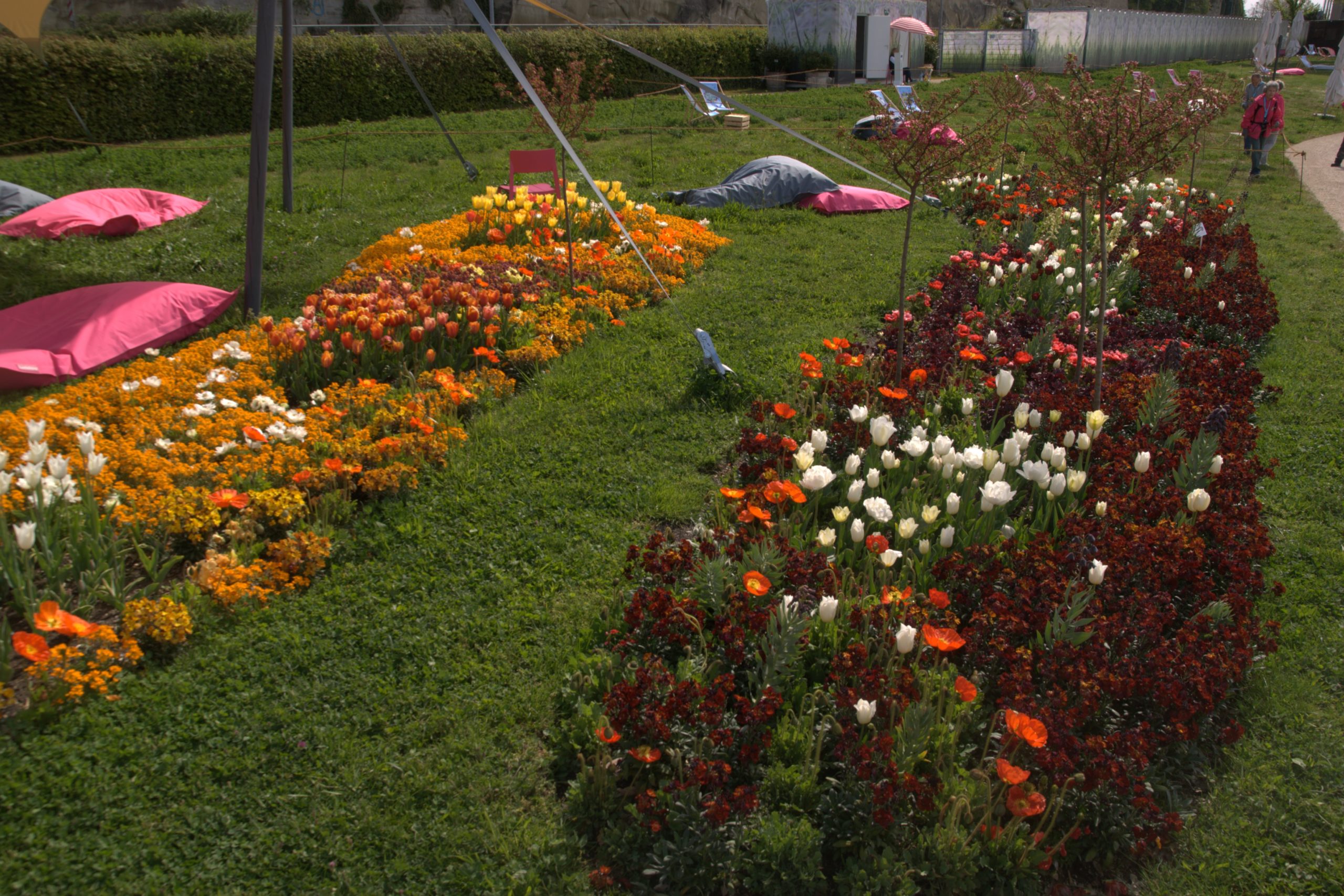 A_DSC08649