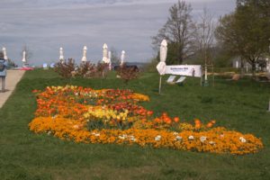 A_DSC08650