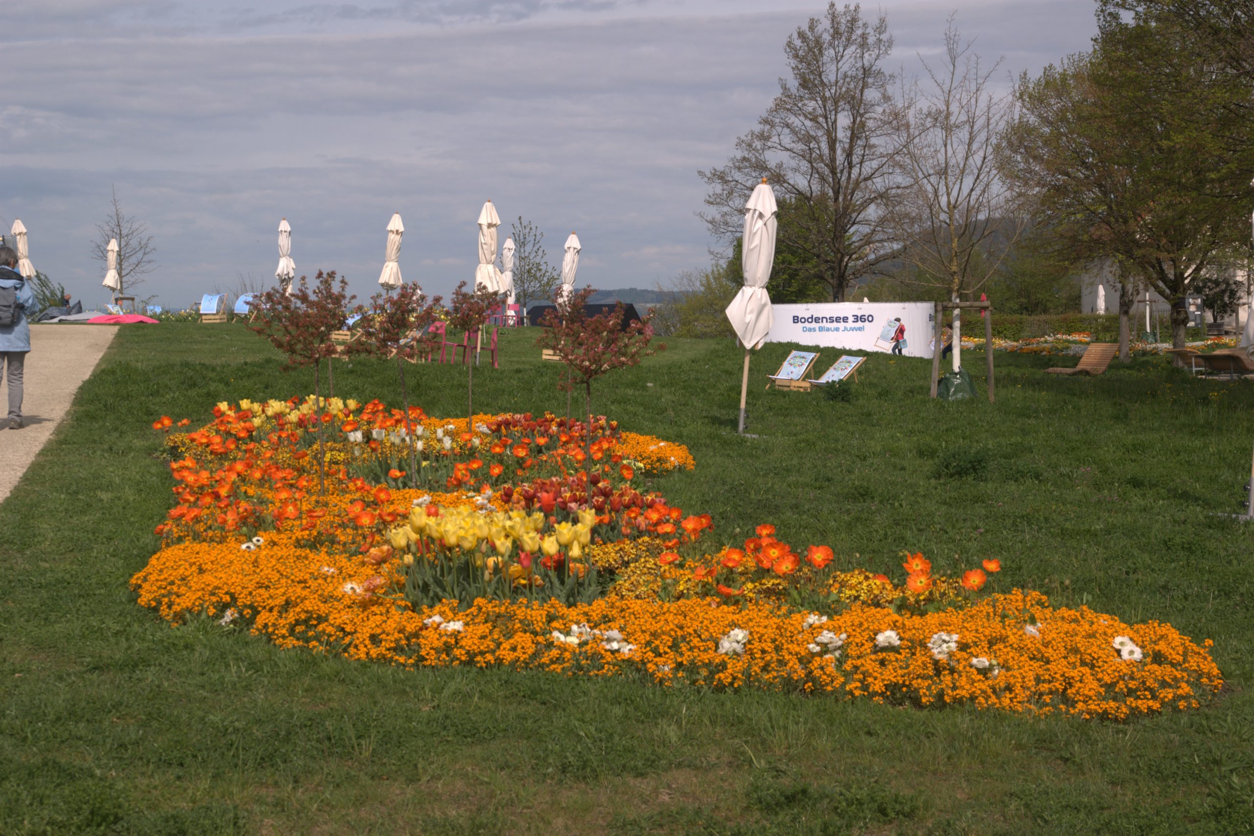 A_DSC08650