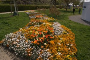 A_DSC08674
