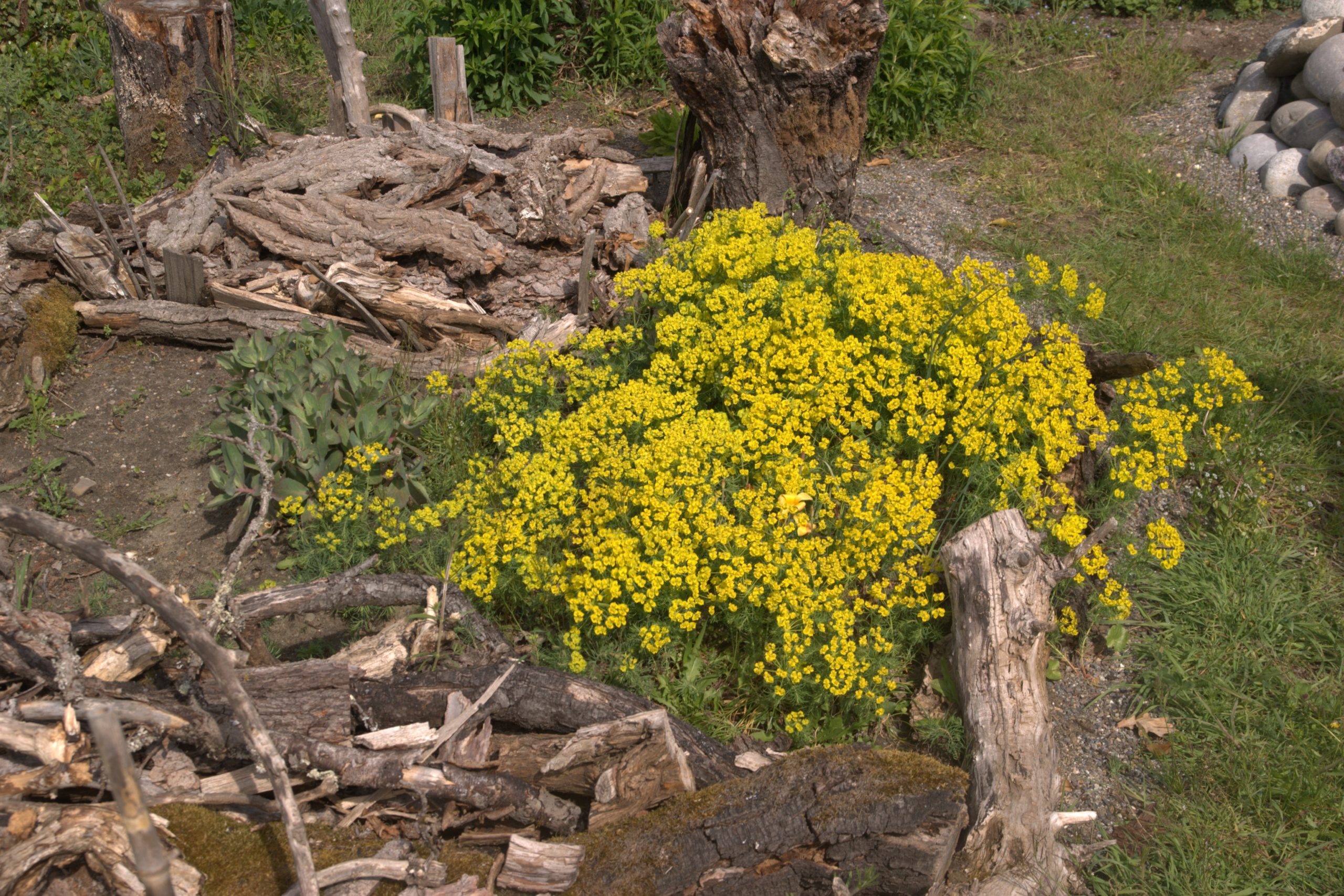 A_DSC08692