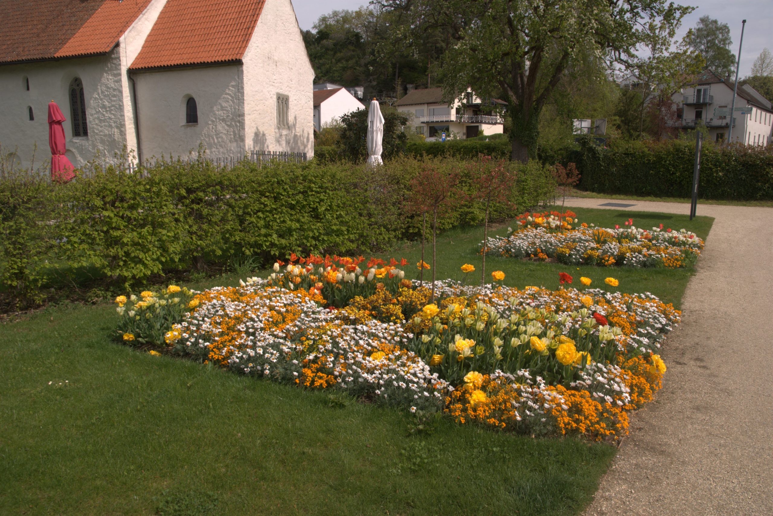 A_DSC08701