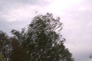 A_DSC08715