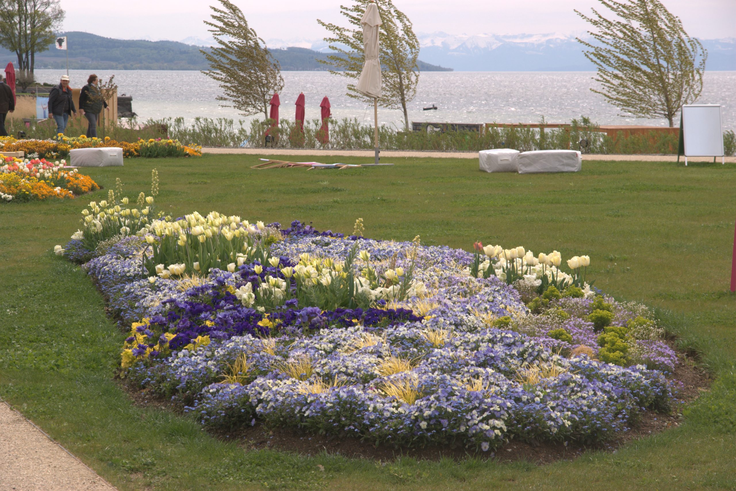 A_DSC08733