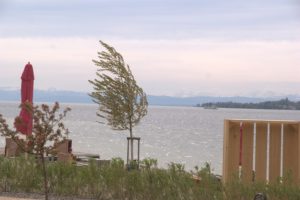 A_DSC08735