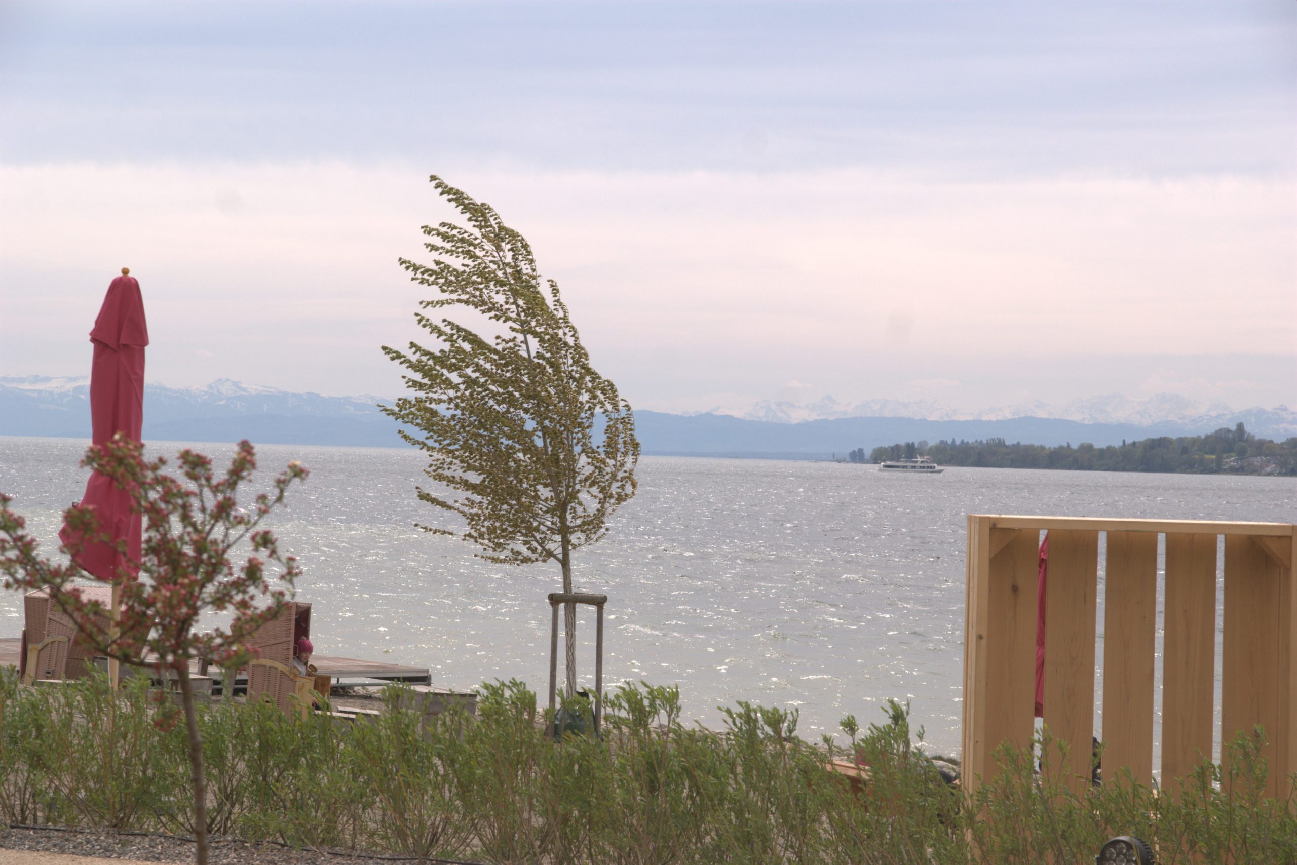 A_DSC08735