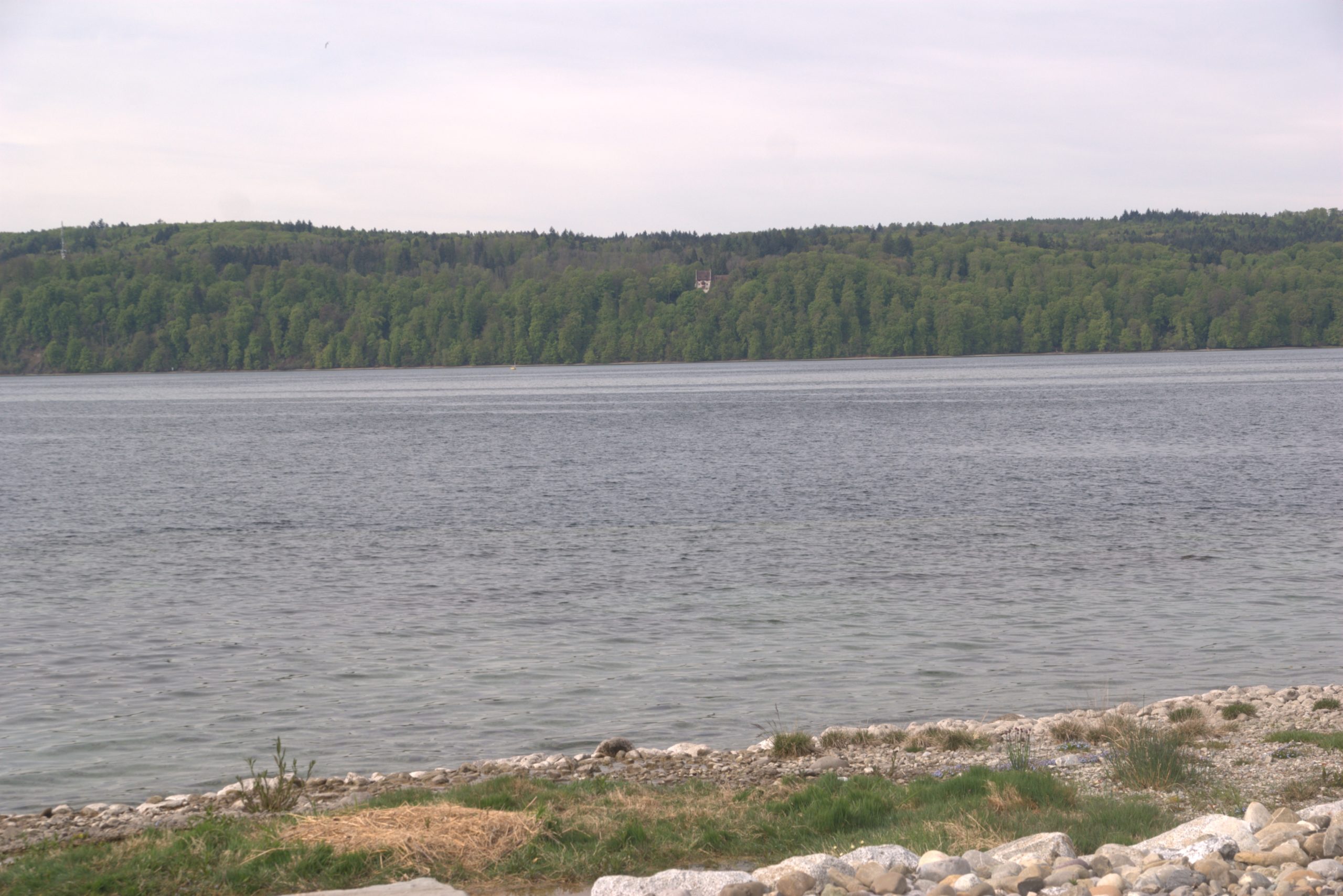 B_DSC08588