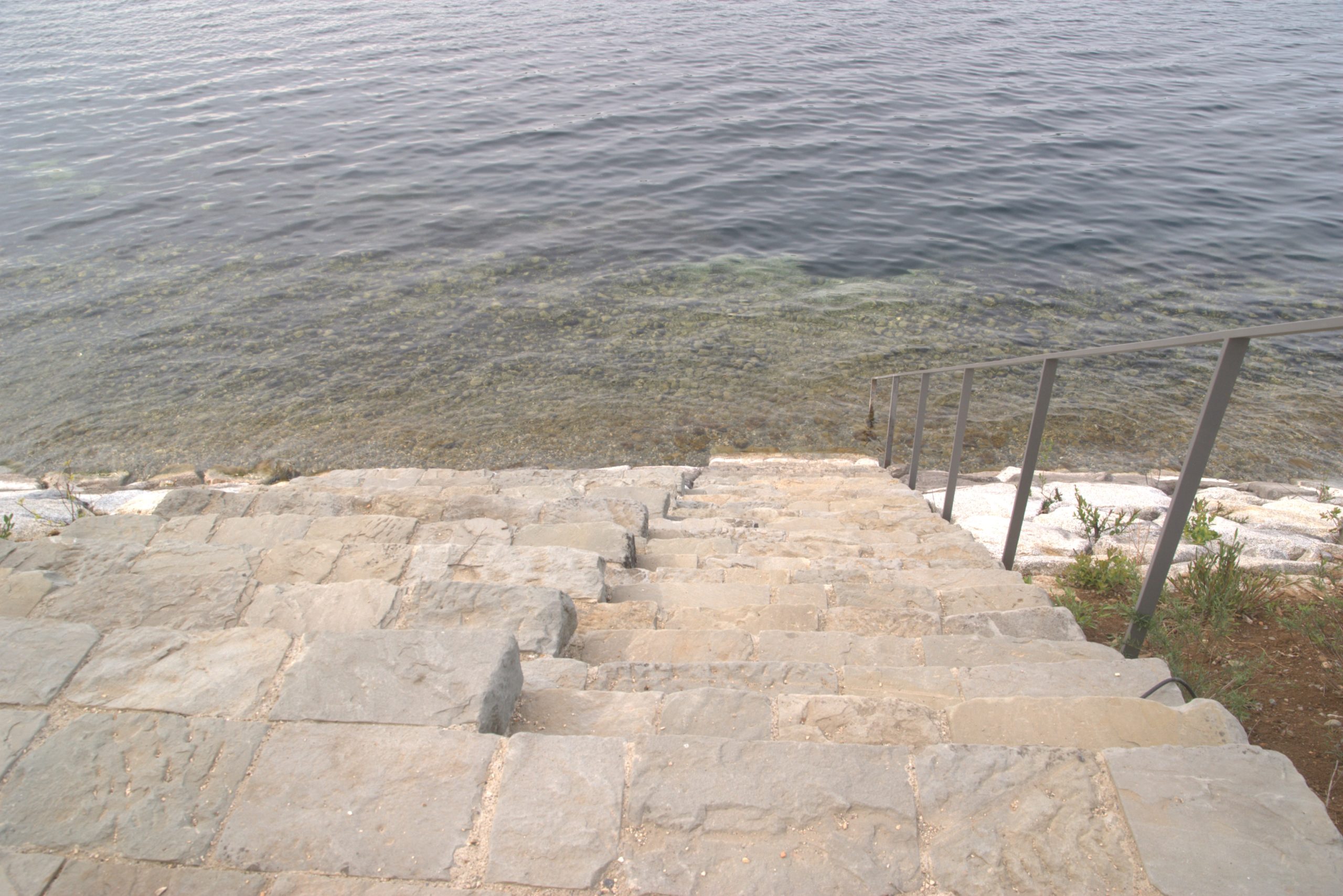 B_DSC08604