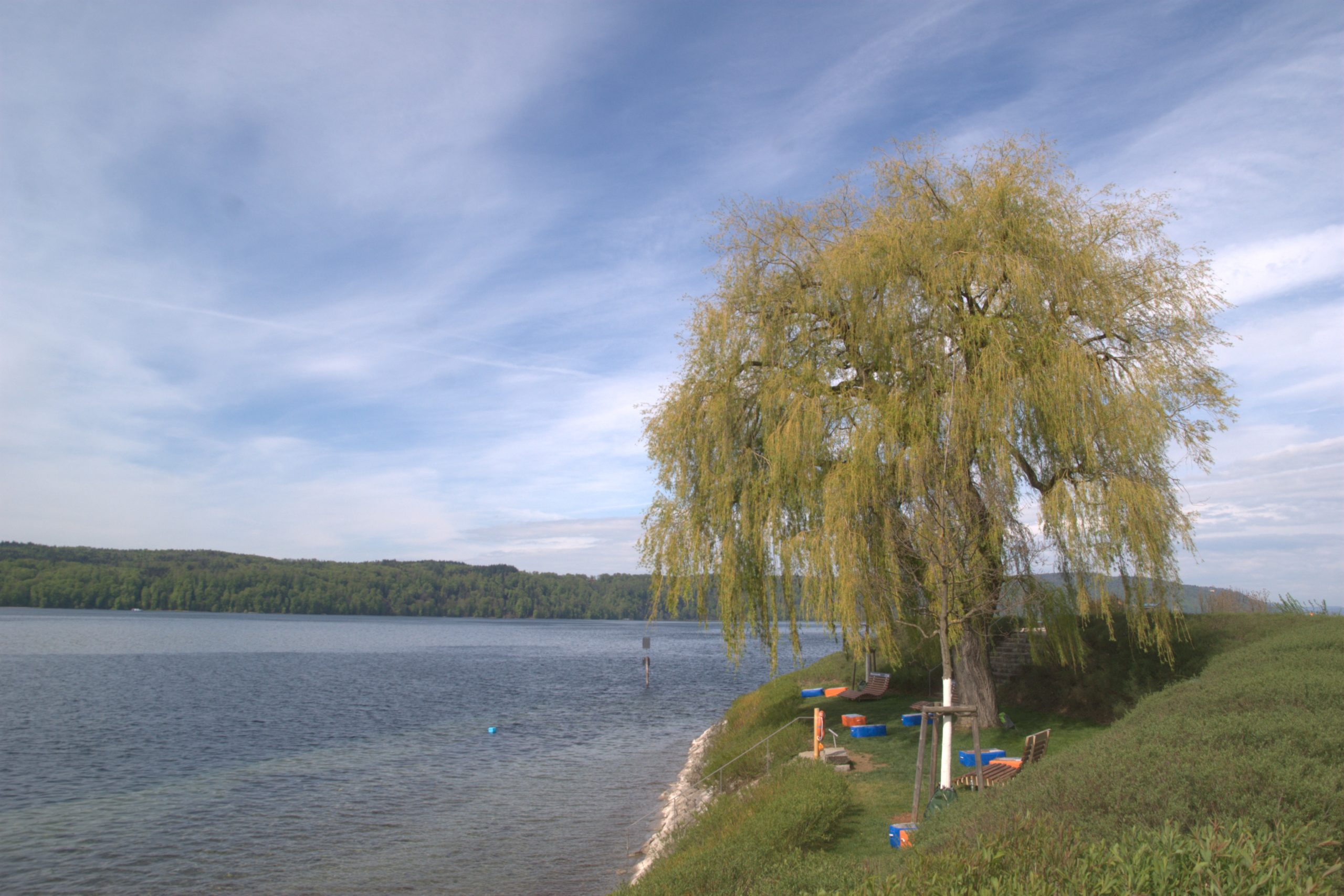 B_DSC08651
