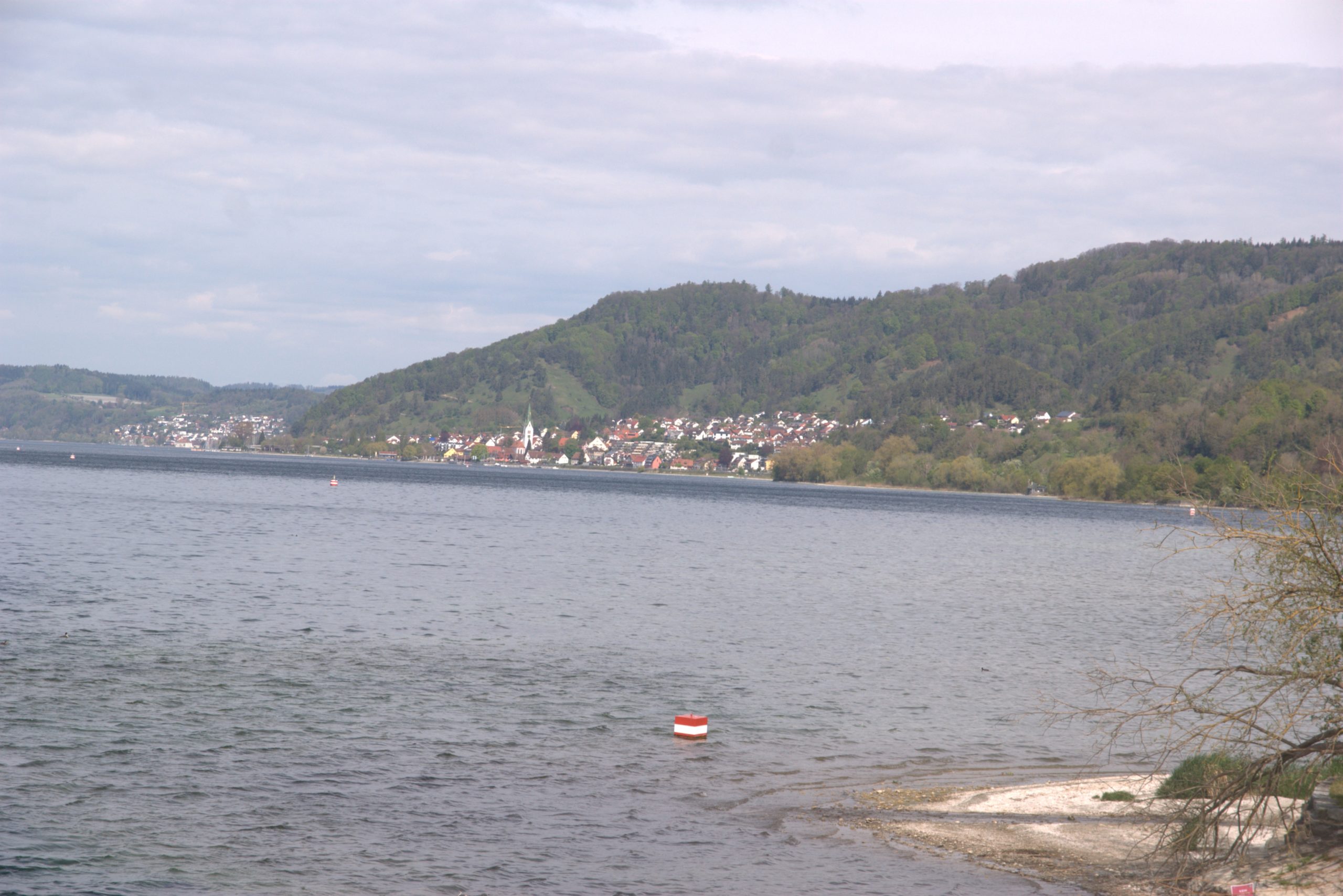 B_DSC08662