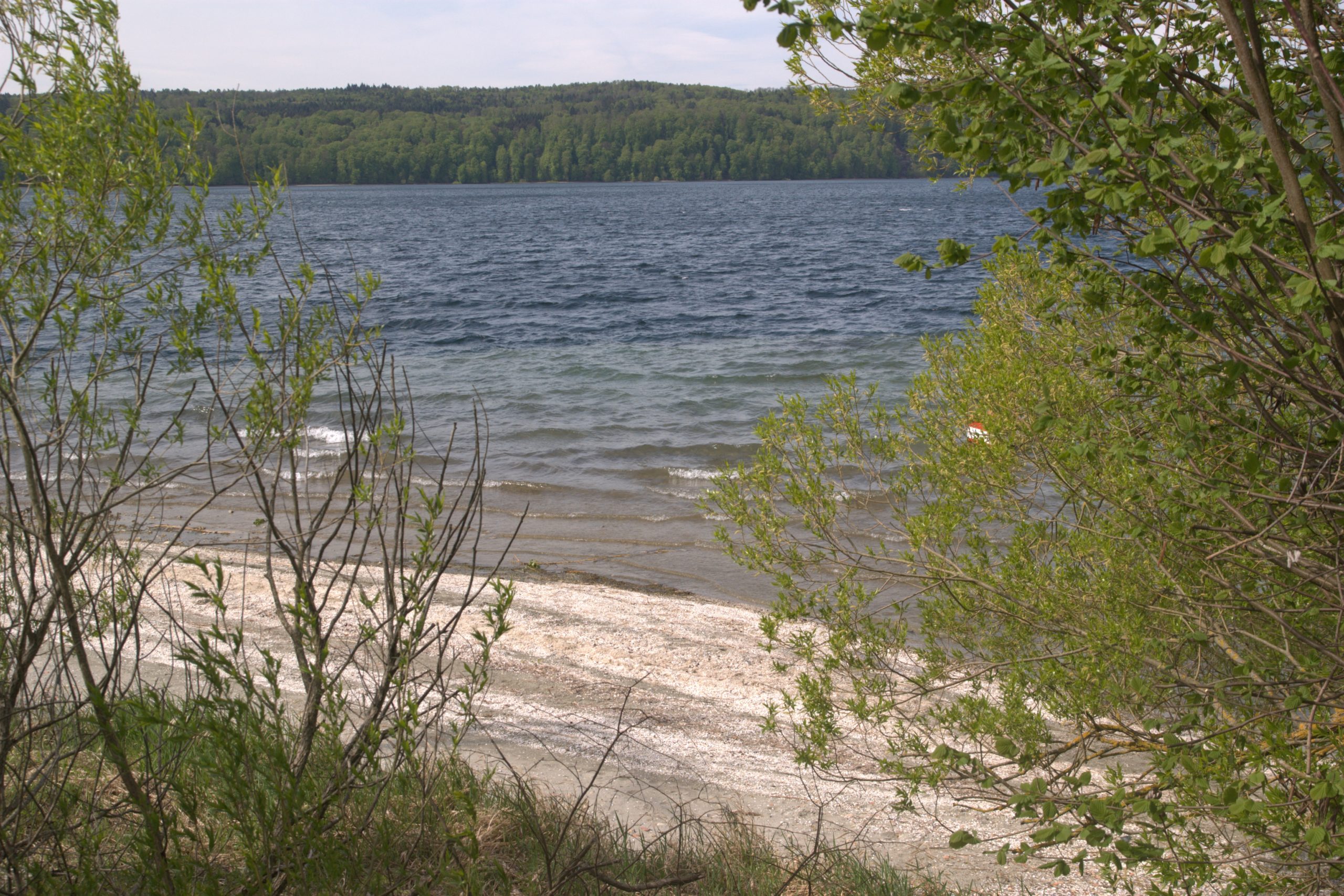 B_DSC08688