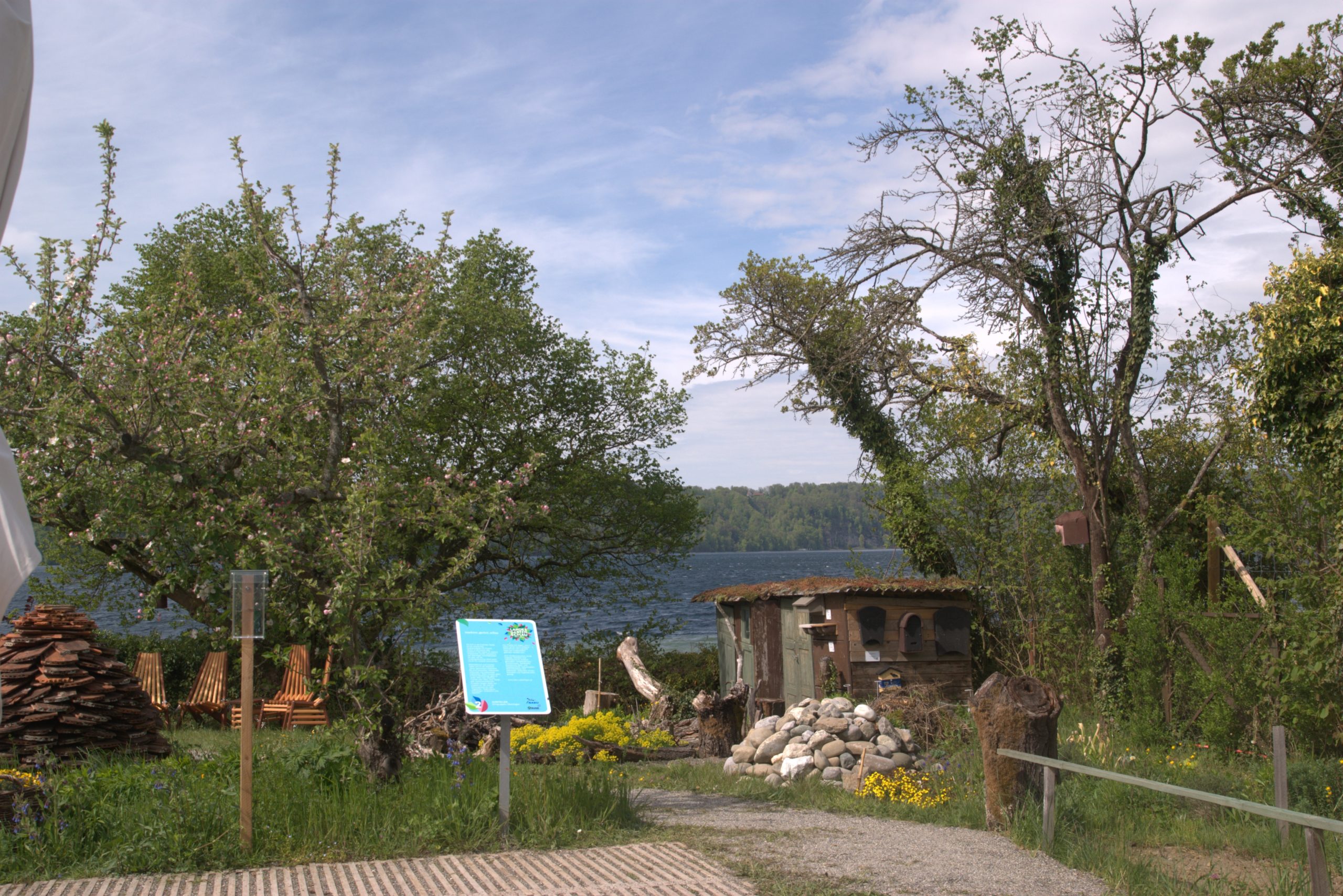 B_DSC08698