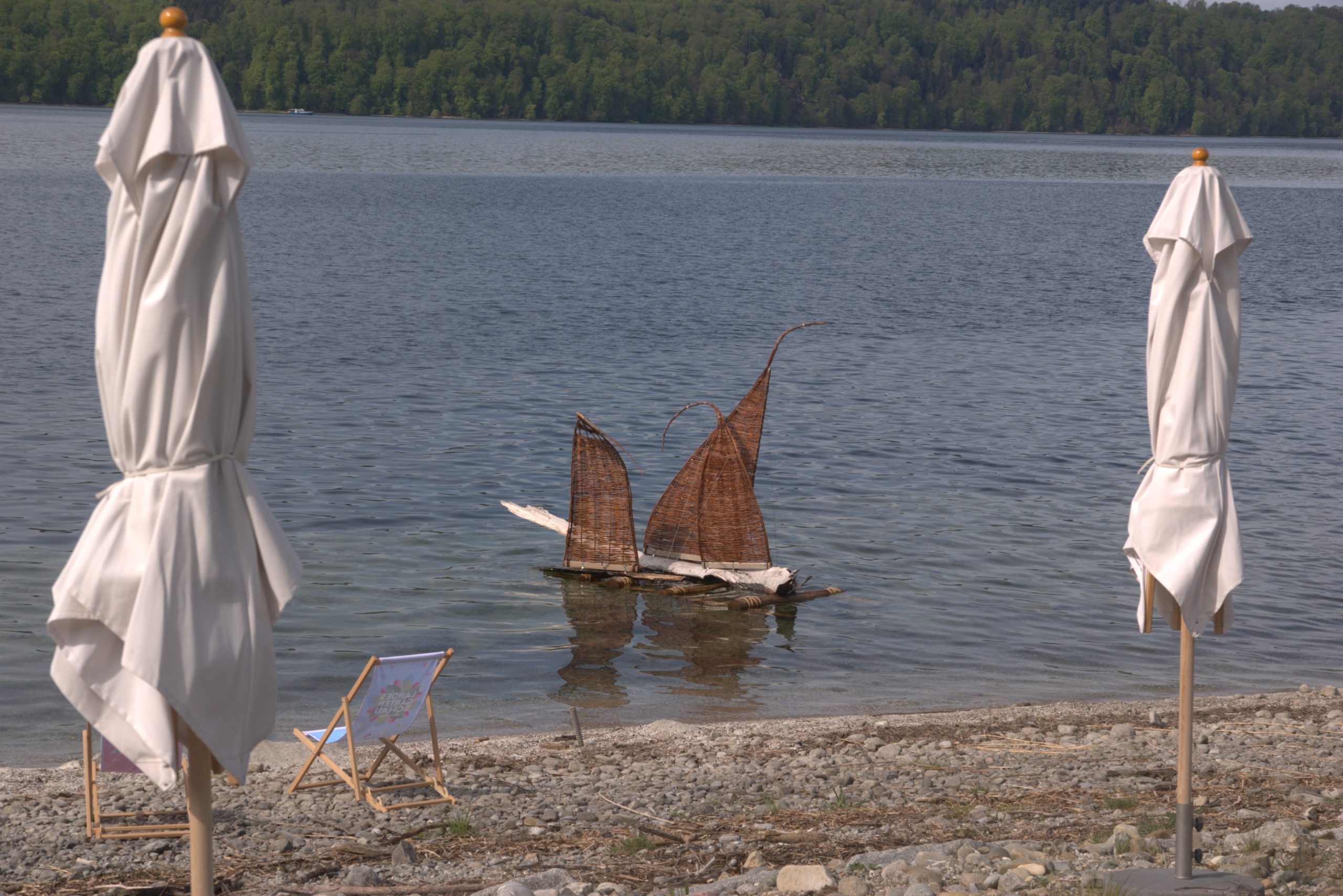 C_DSC08637