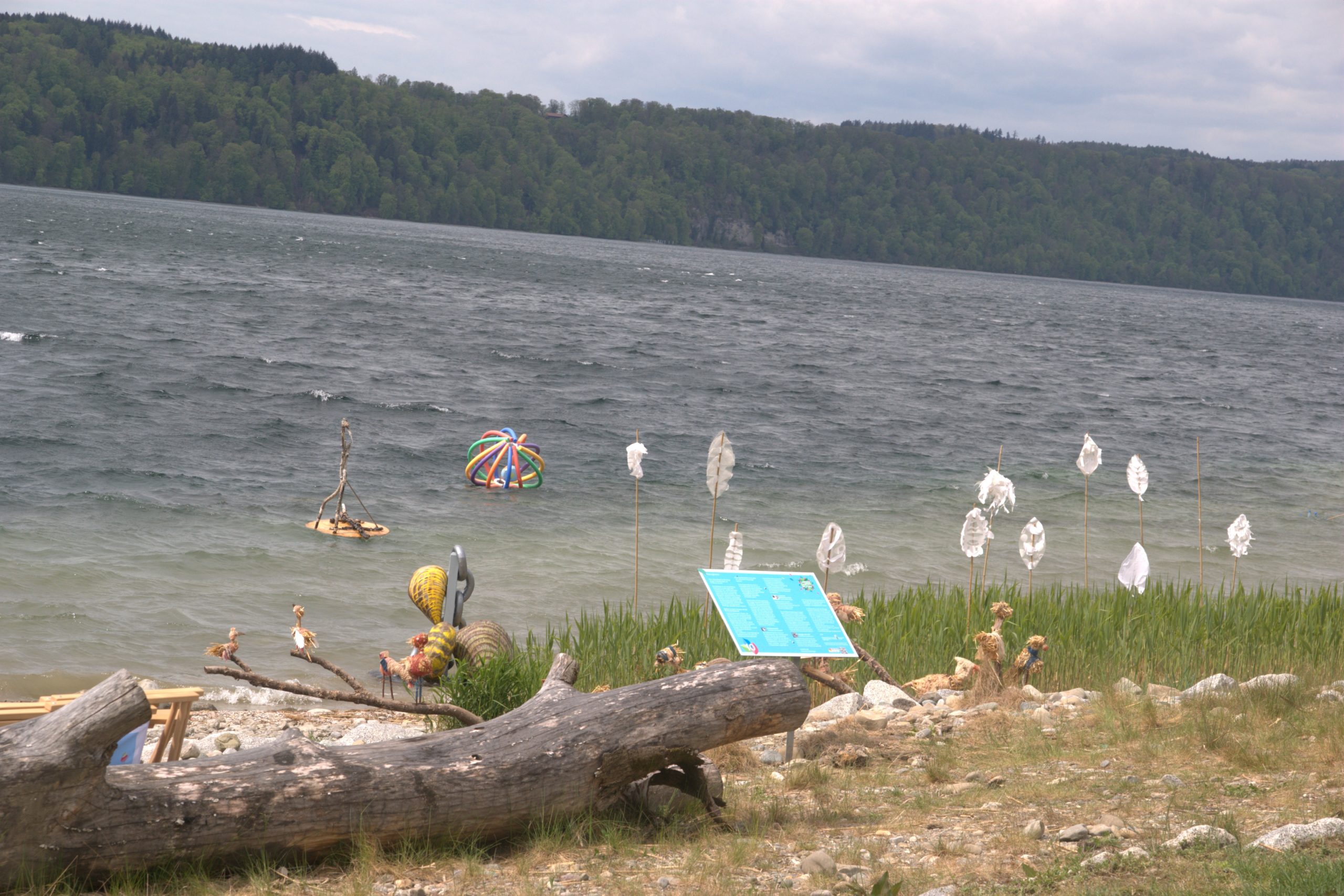 C_DSC08709
