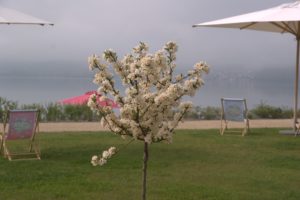 DSC08838