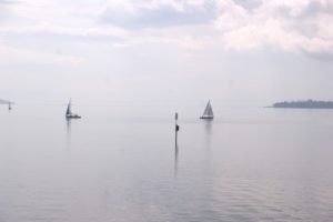 DSC08870
