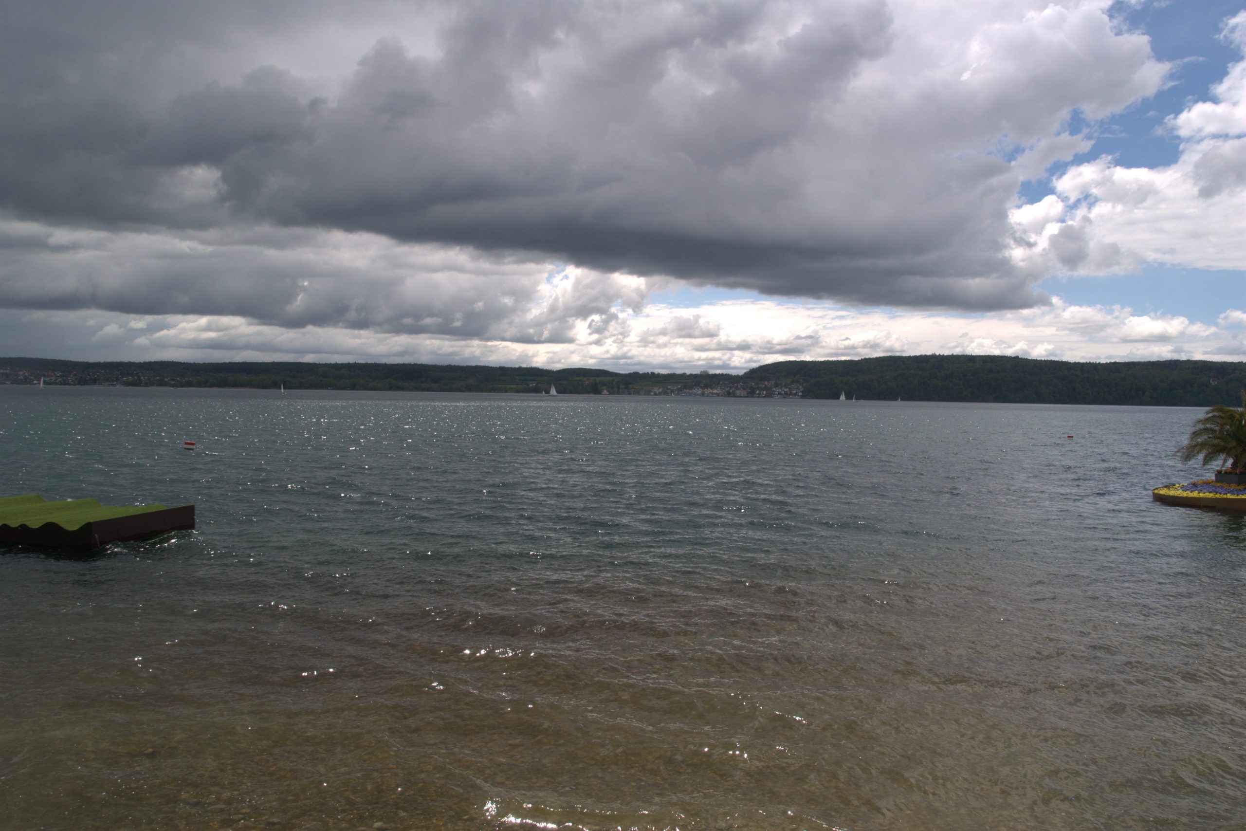 DSC08901