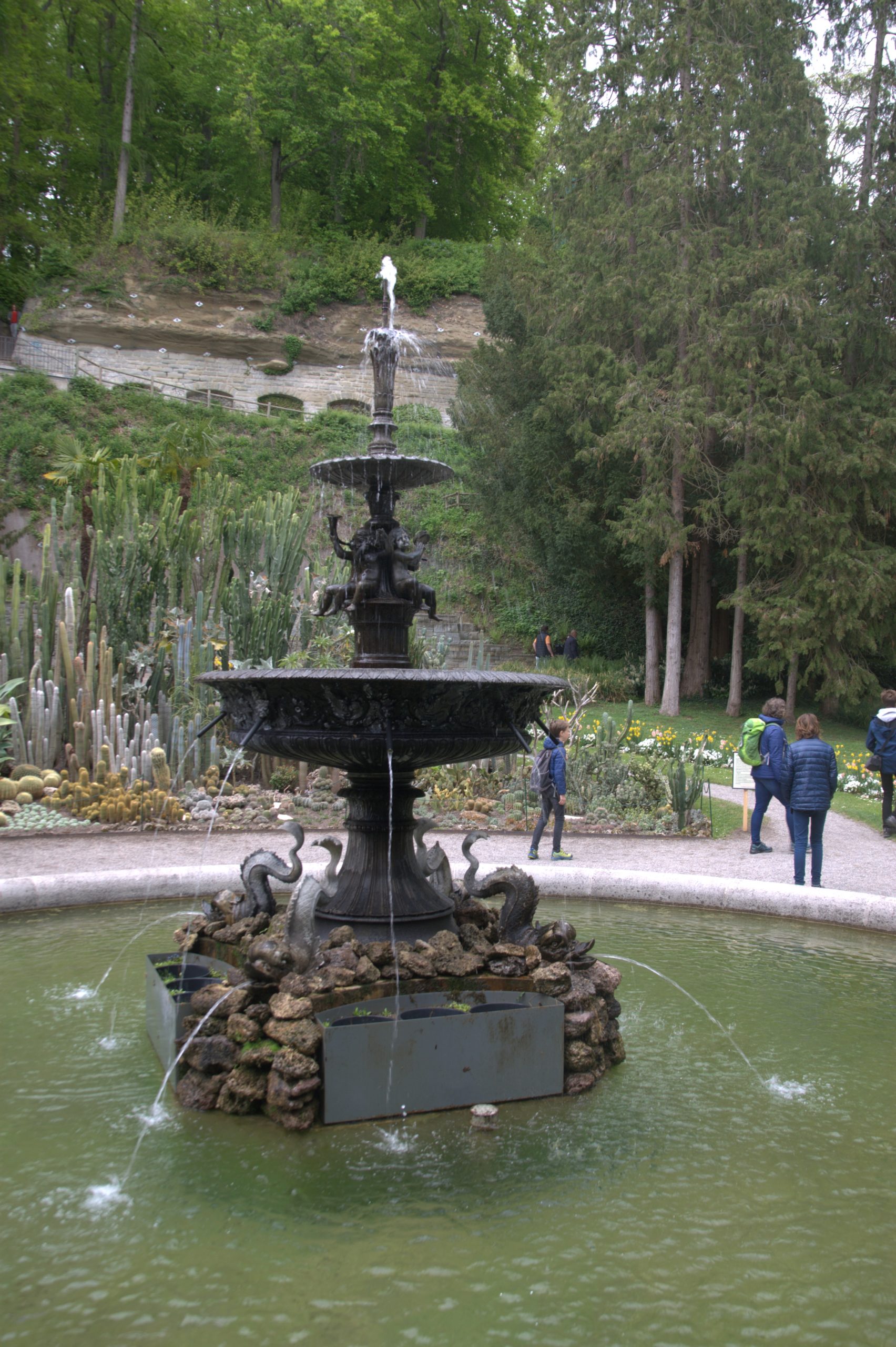 DSC08905