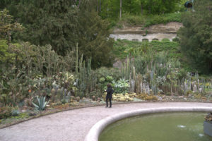 DSC08906