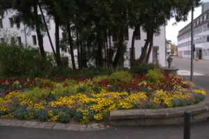 DSC08912