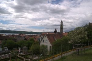 DSC08939