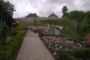 DSC08956