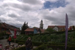 DSC08959