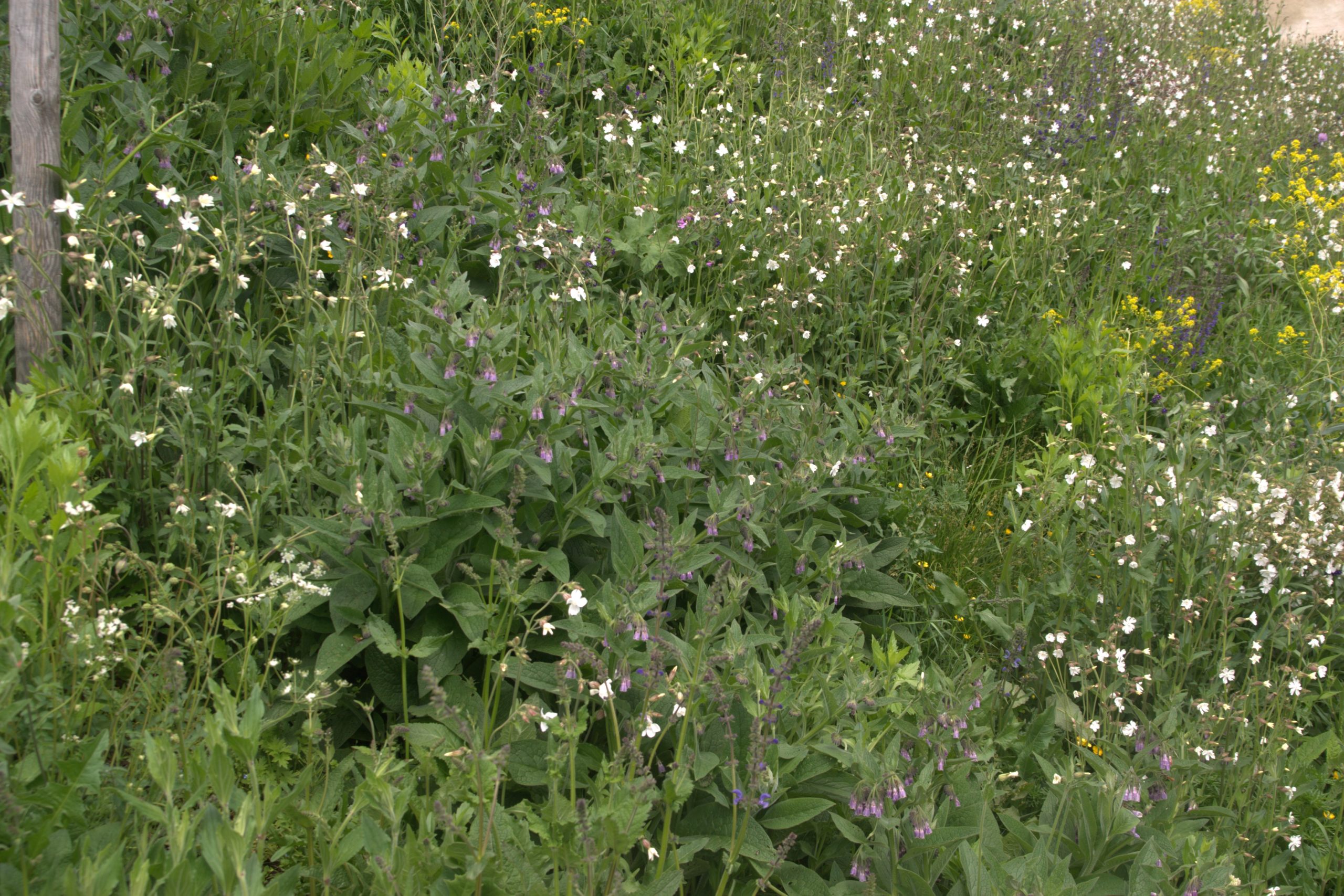 DSC08960