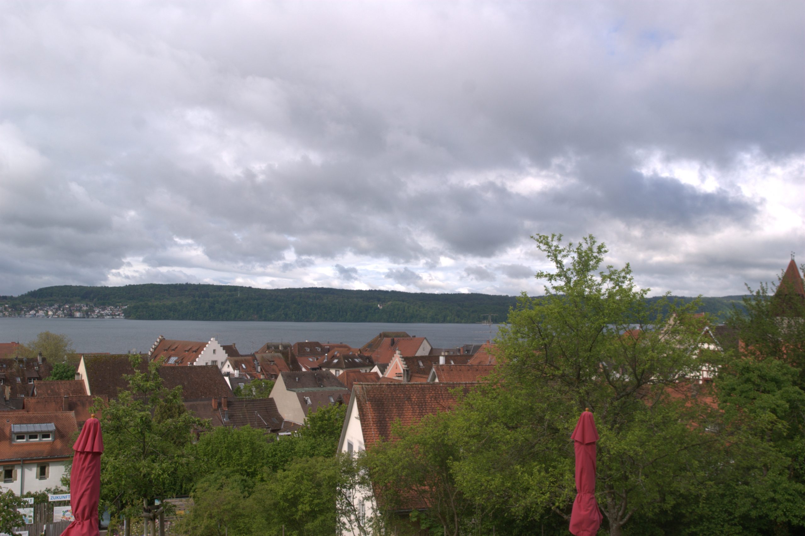 DSC08990