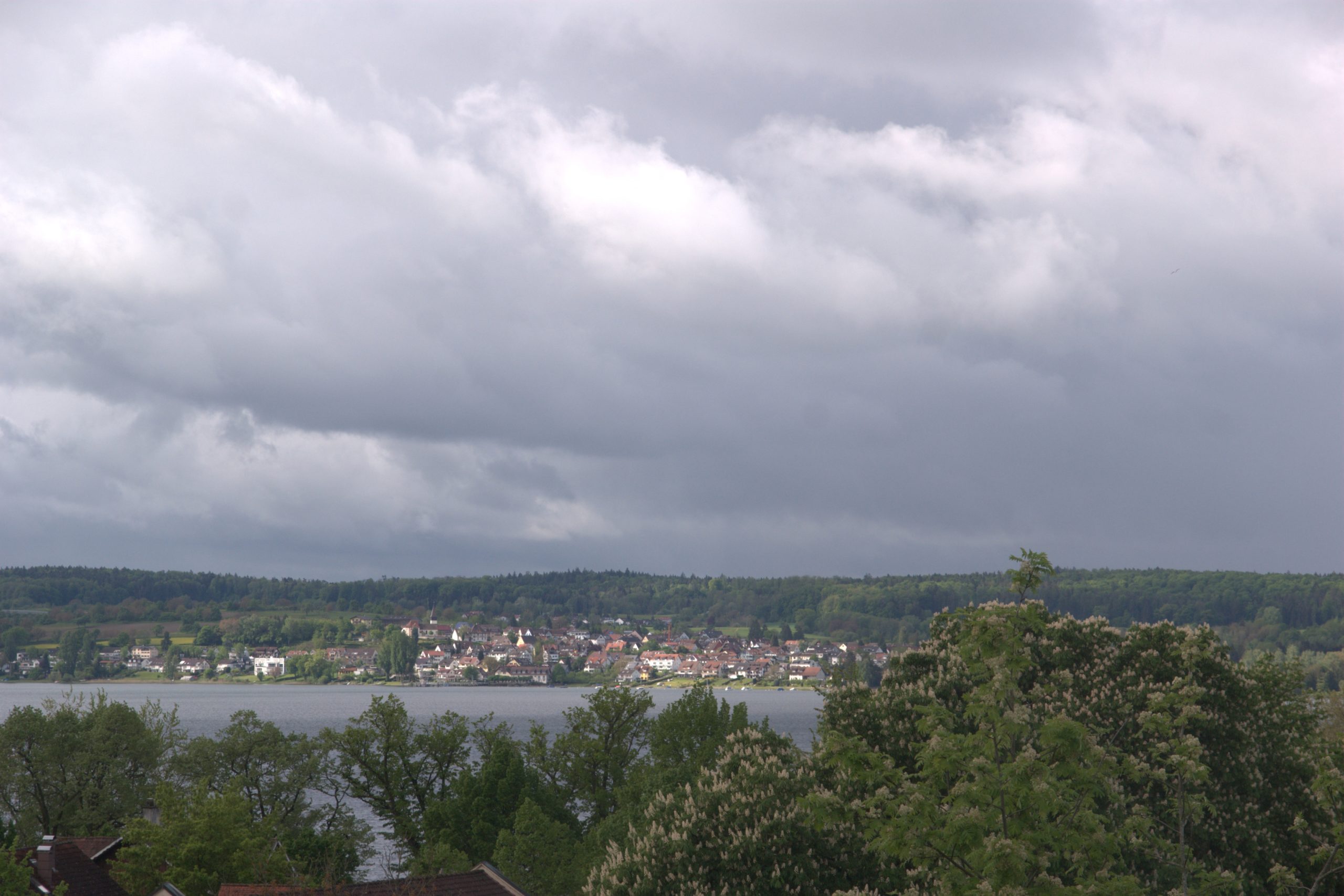 DSC09000
