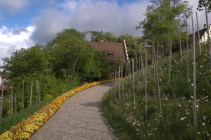 DSC09001