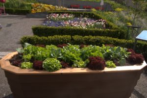 DSC09005