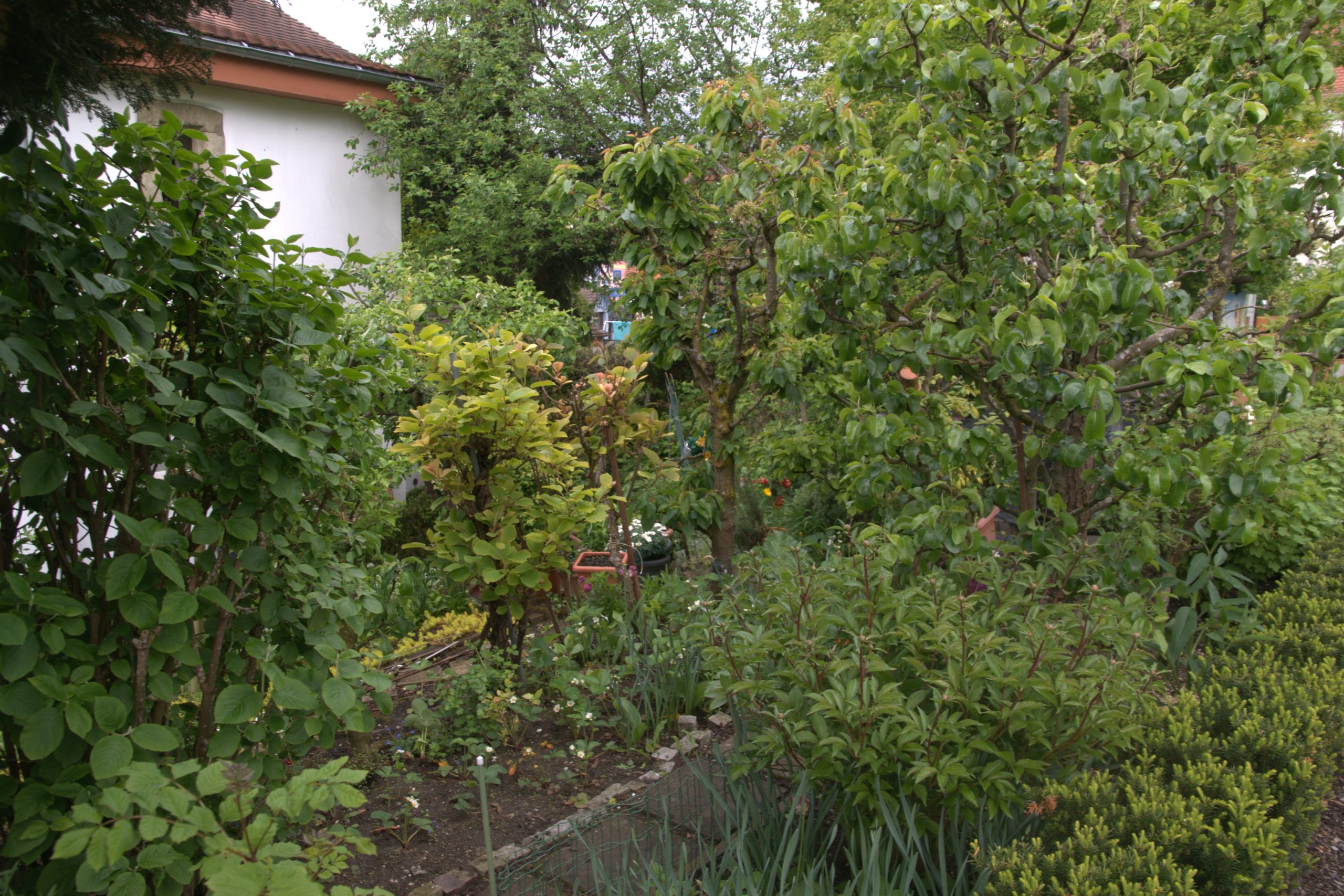 DSC09013