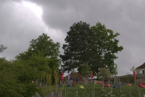 DSC09025