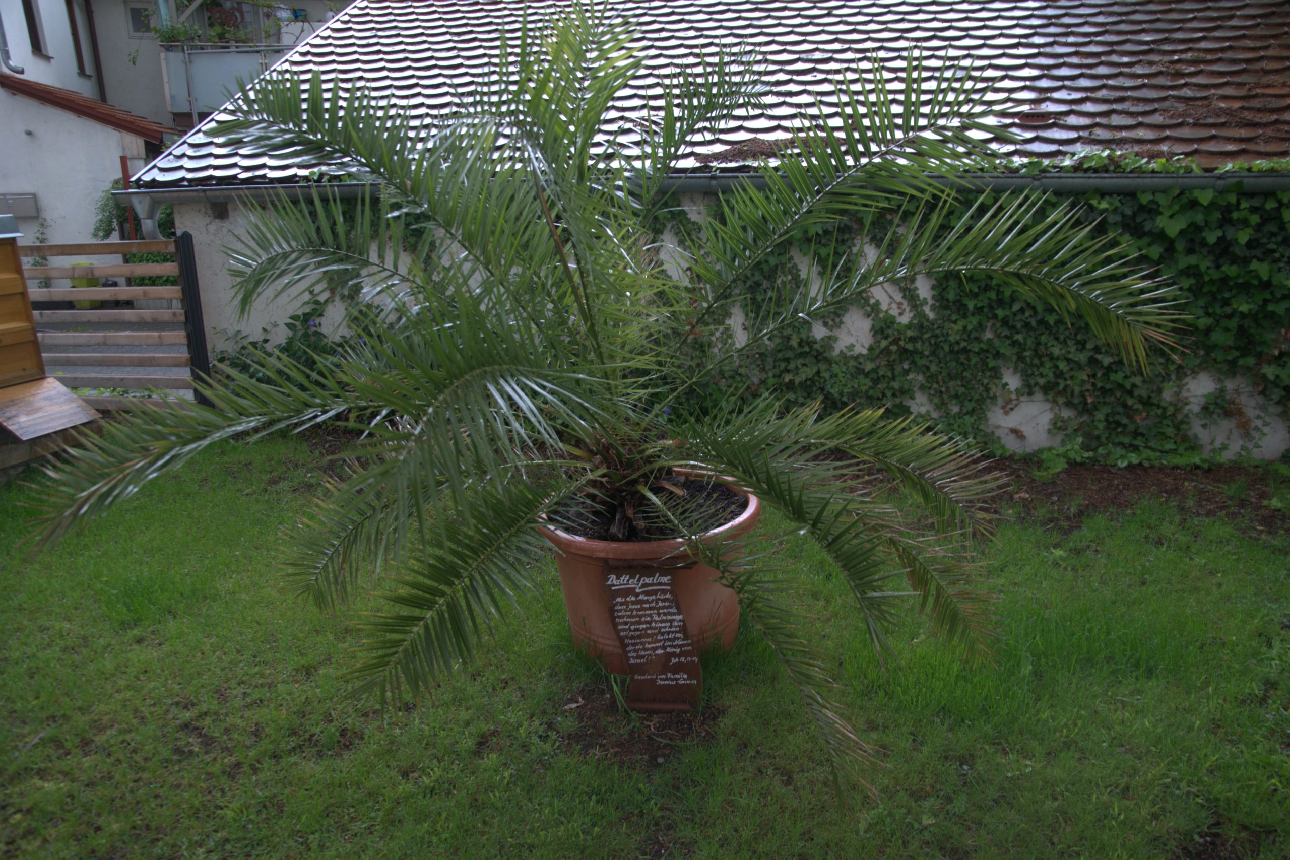 DSC09039