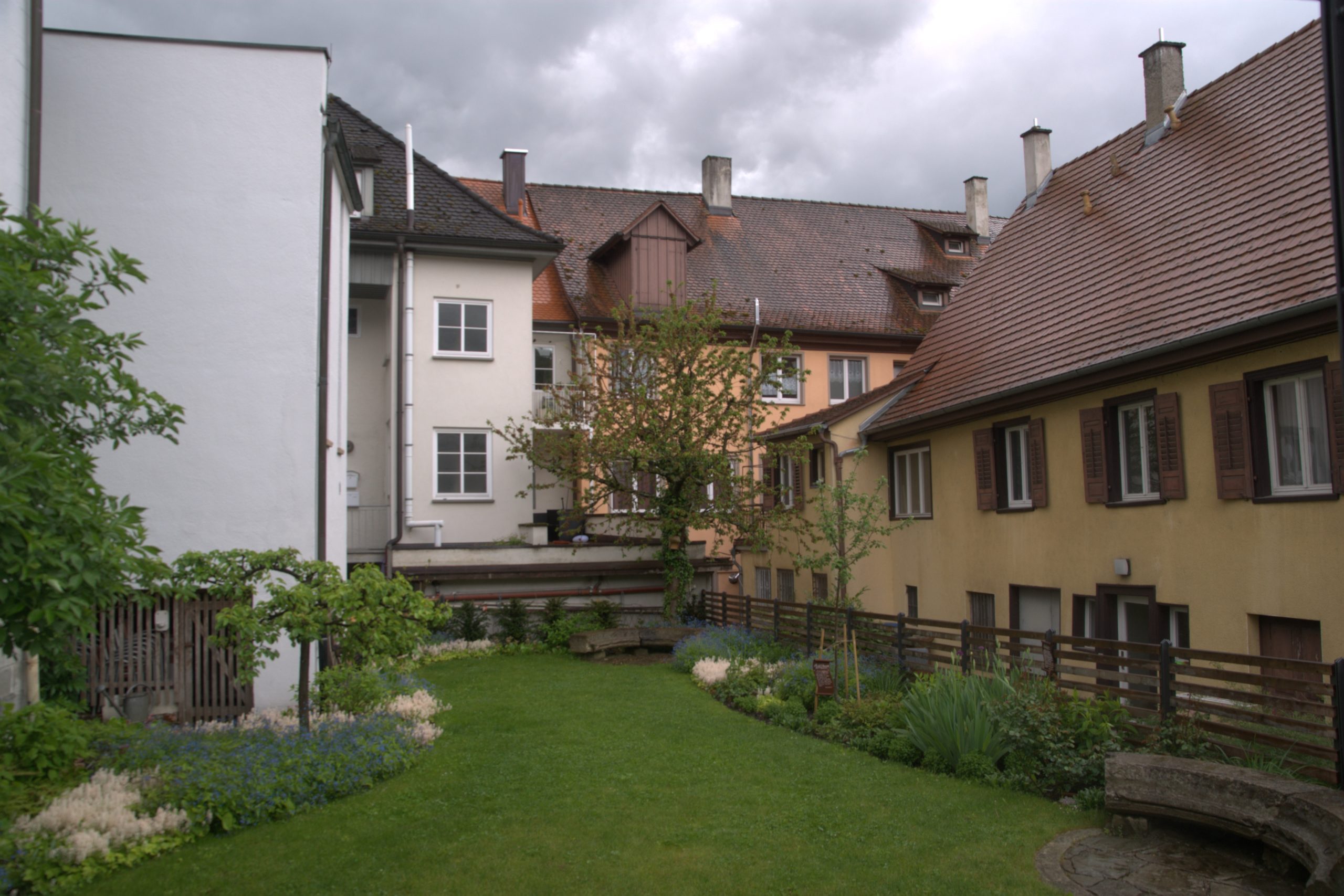 DSC09041