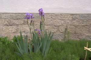 DSC09043